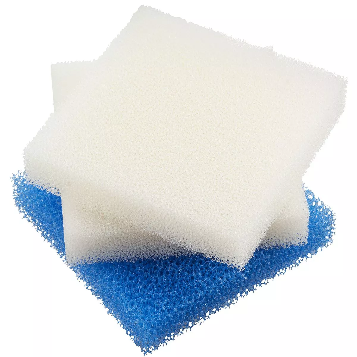SICCE BIO SPONGE WHALE 350/500