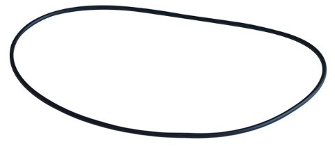 SICCE GREEN RESET O-RING FOR FILTER BODY 60-100L