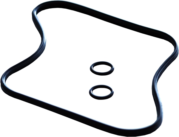 SICCE- O RING FILTER HEAD WHALE 350-500
