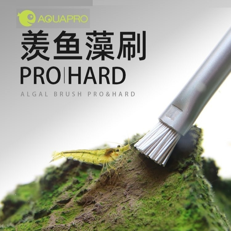 AP ALGAE BRUSH PRO 15CM