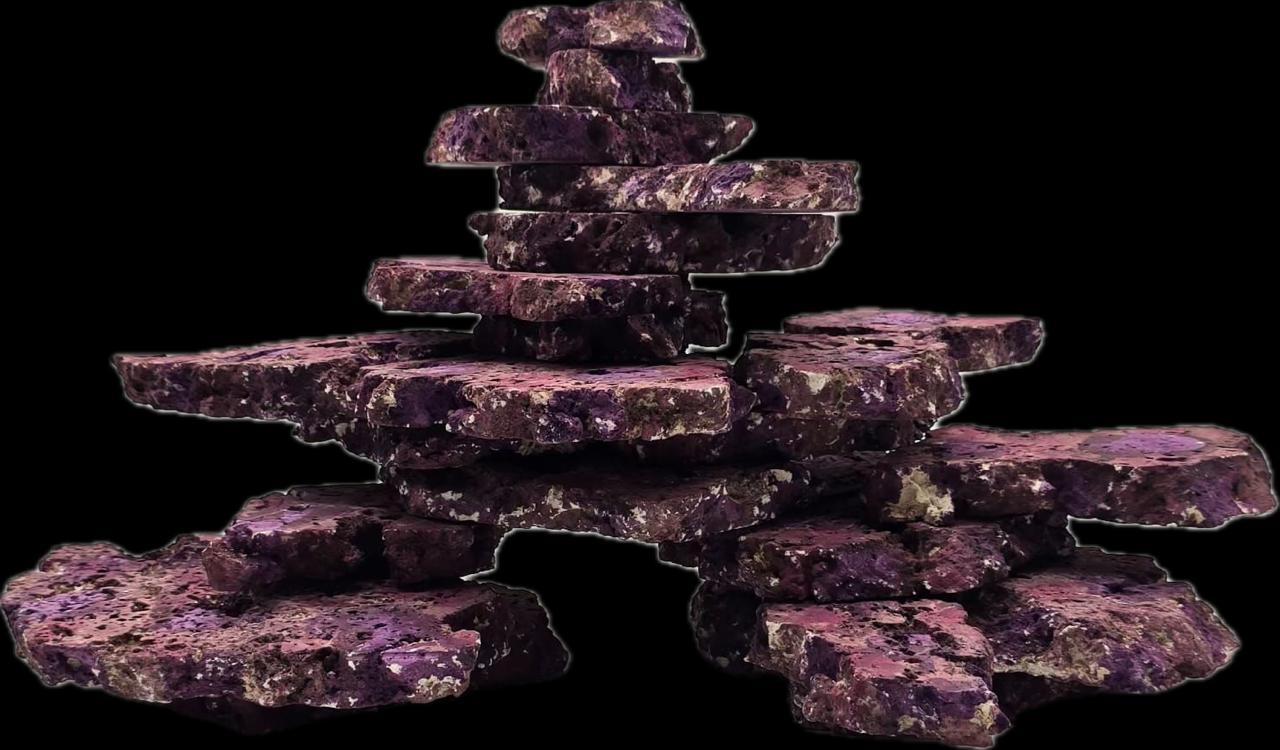 REEF CORE BIOBLOCK