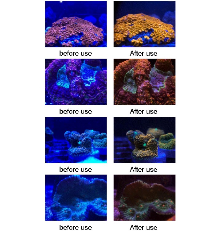 REEF CORE MOBILE LENS