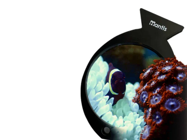 Aquarium Magnifier