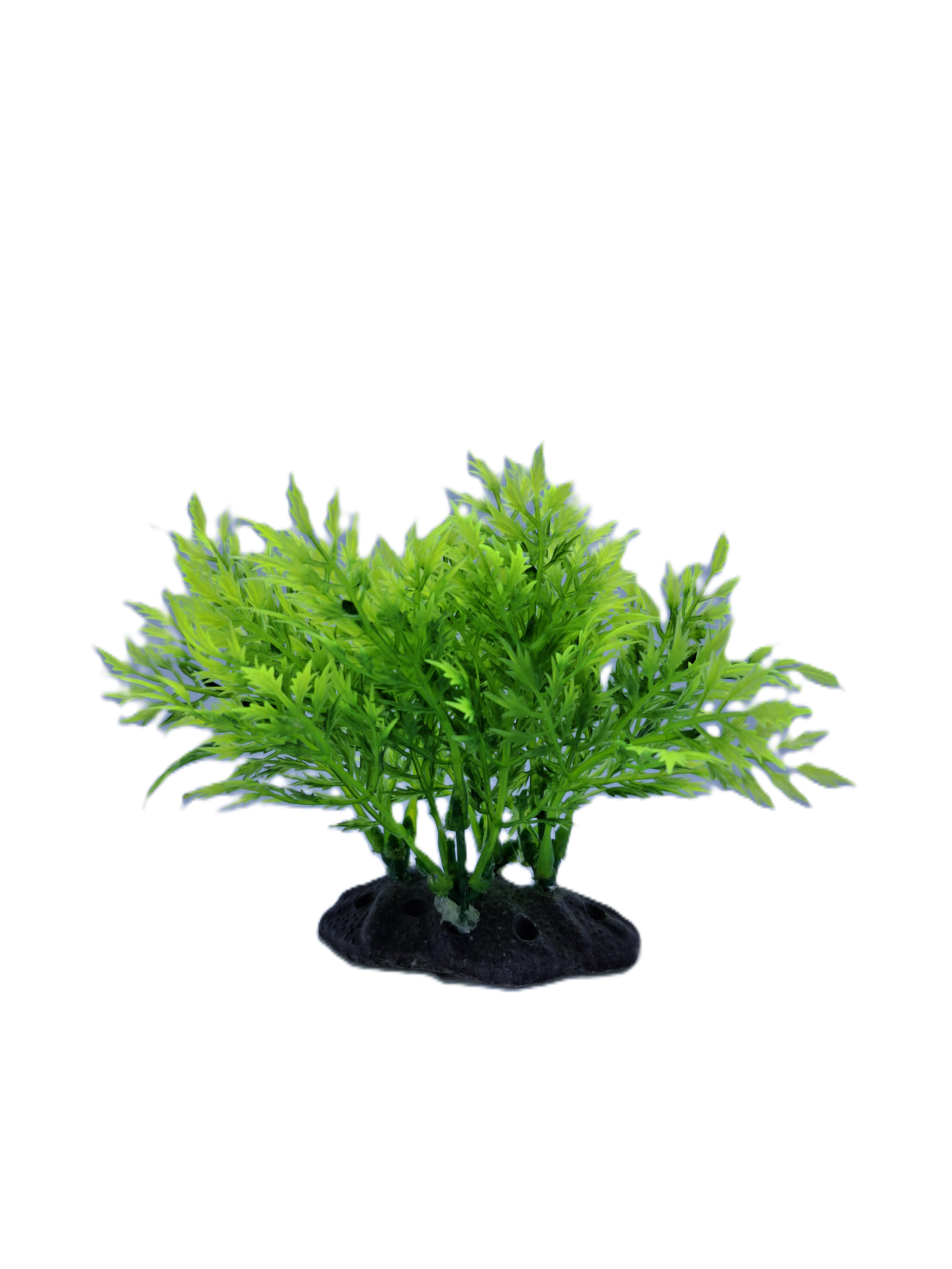 Decoration