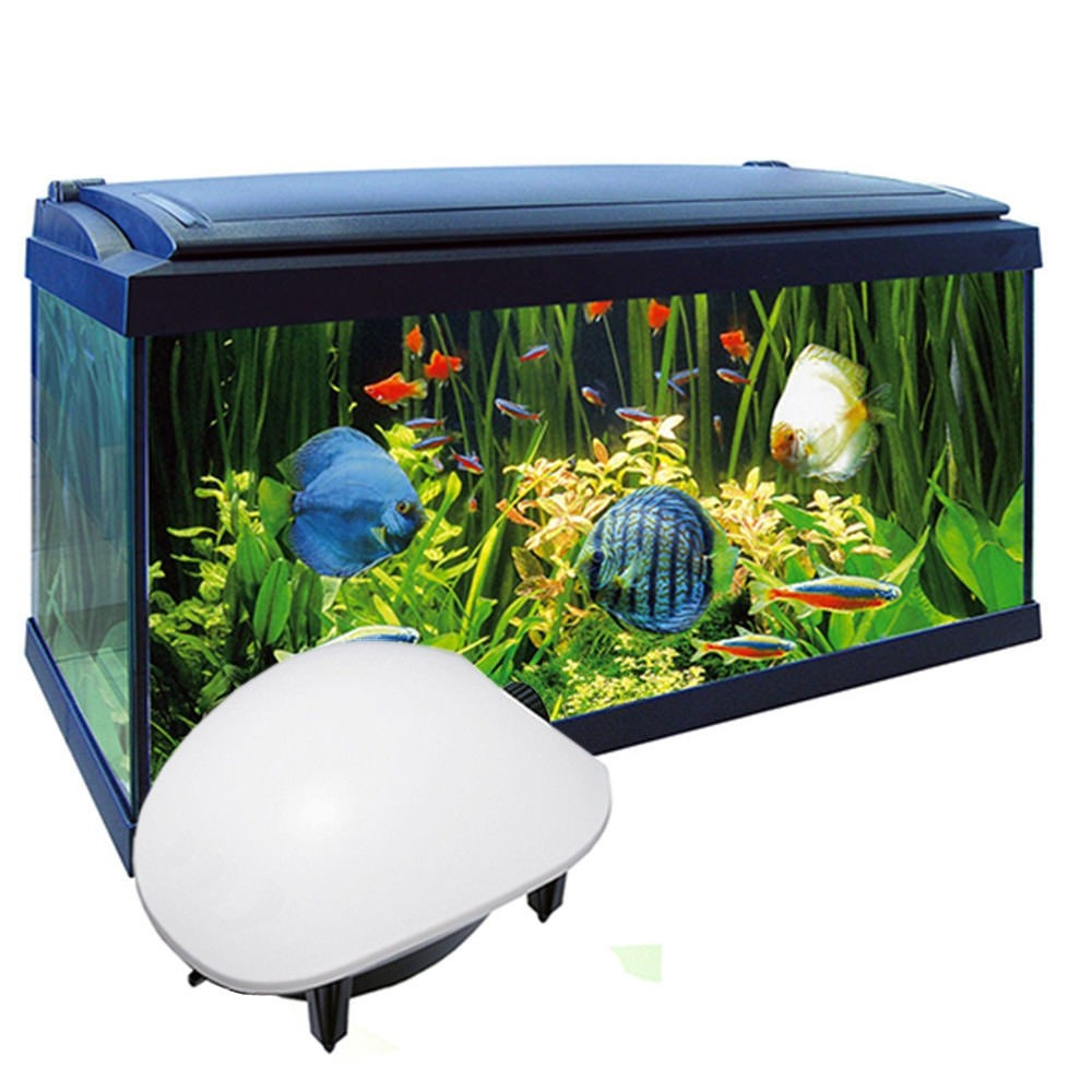 Jeneca air pump