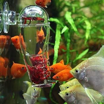 Acrylic Feeder Shrimp and fish Feeder for Tank Aquarium