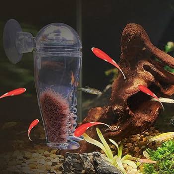 Acrylic Feeder Shrimp and fish Feeder for Tank Aquarium