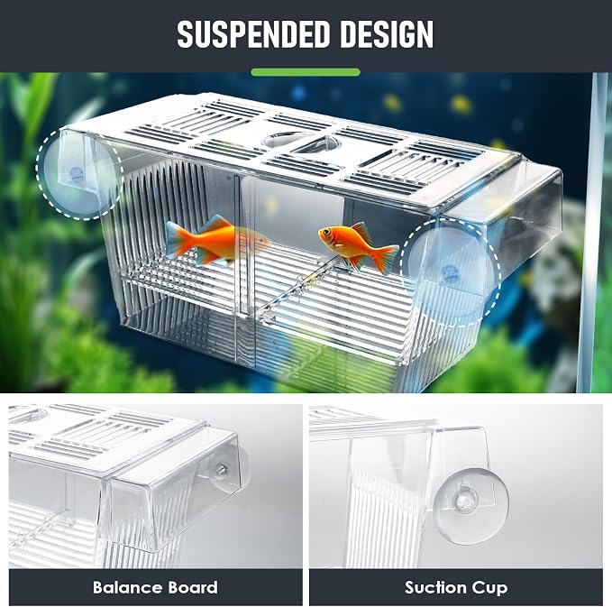 Aquarium Fish Breeding Box L