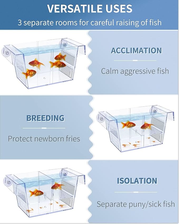 Aquarium Fish Breeding Box L