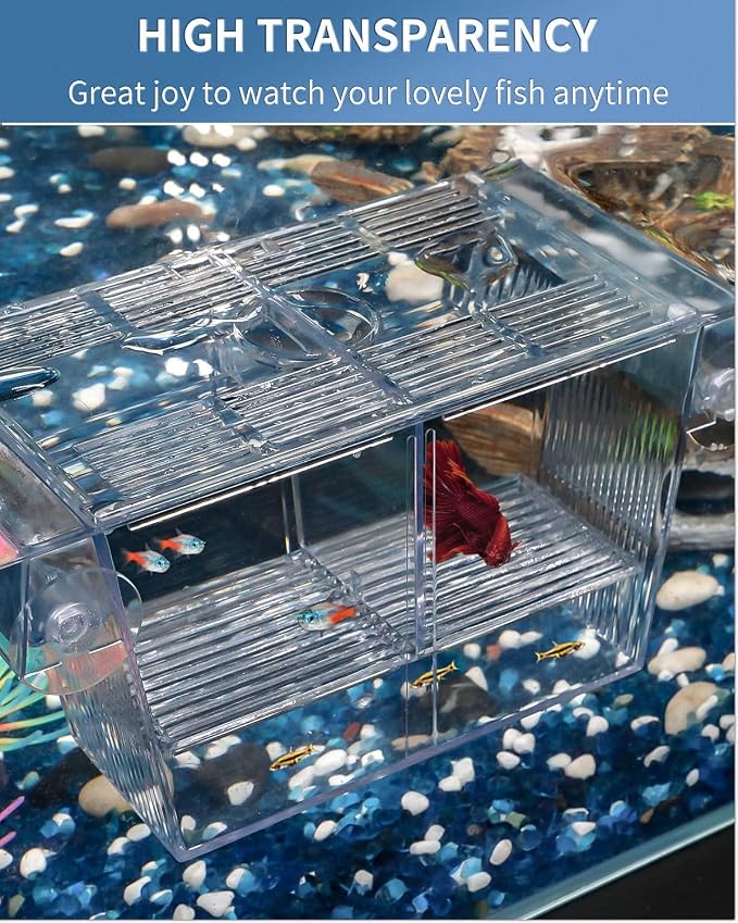 Aquarium Fish Breeding Box  SMALL