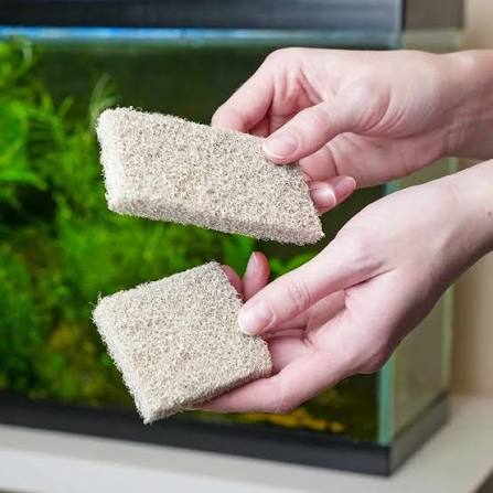 Ammonia Filter Pad