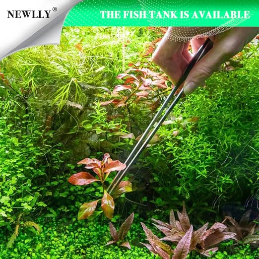 27cm Aquarium Tweezer Curved & straight Stainless Steel Tool