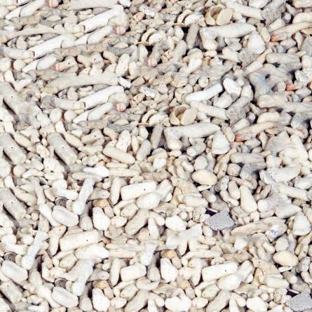 Crushed coral 1 Ltr