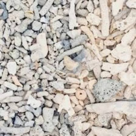 Crushed coral 1 Ltr