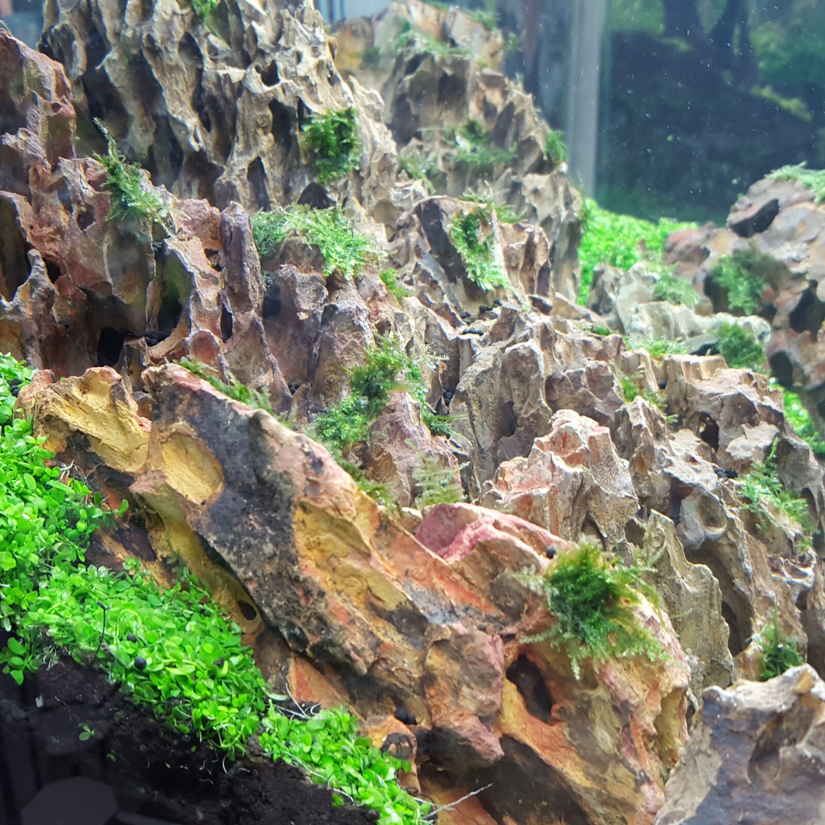 Dragon Stone Per 1 KG