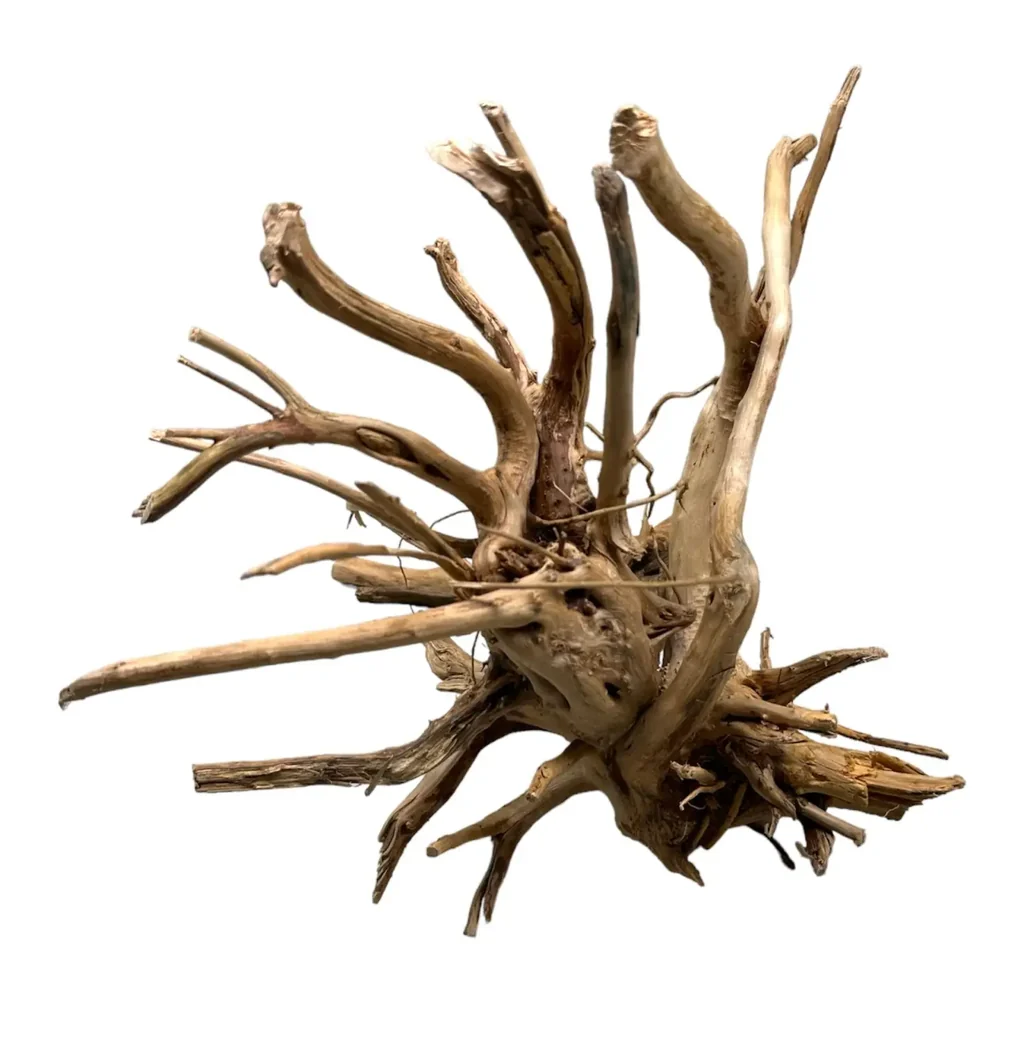 Spider Wood Per 1KG