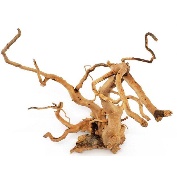 Spider Wood Per 1KG