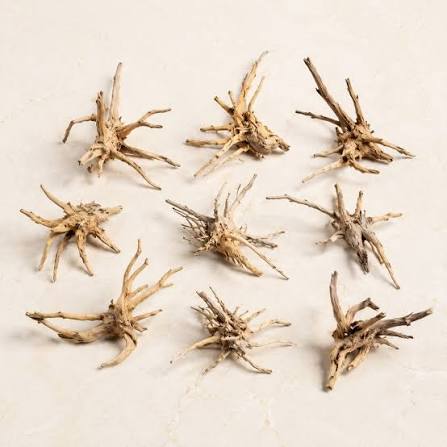Tiny spider wood Per Pcs