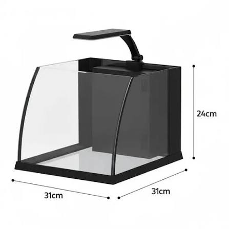 Haqos Belly Box 30