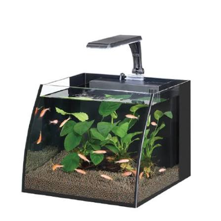 Haqos Belly Box 30