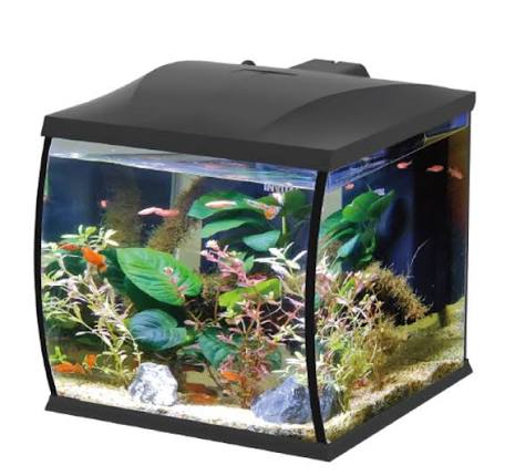 Haqos Belly Box 32