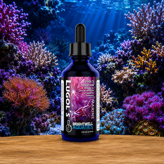 Brightwell Aquatics Lugol's Solution (30 ml)