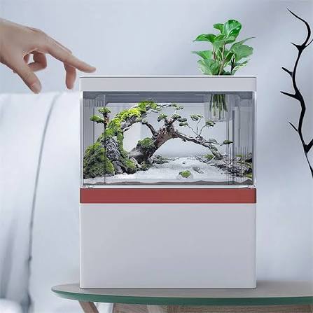 SQG Mini Desktop Aquarium