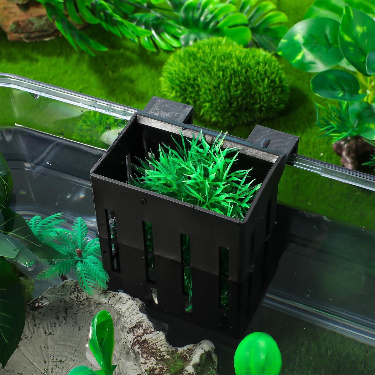 Plant Holder with Suction Cups & Hooks – Hanging