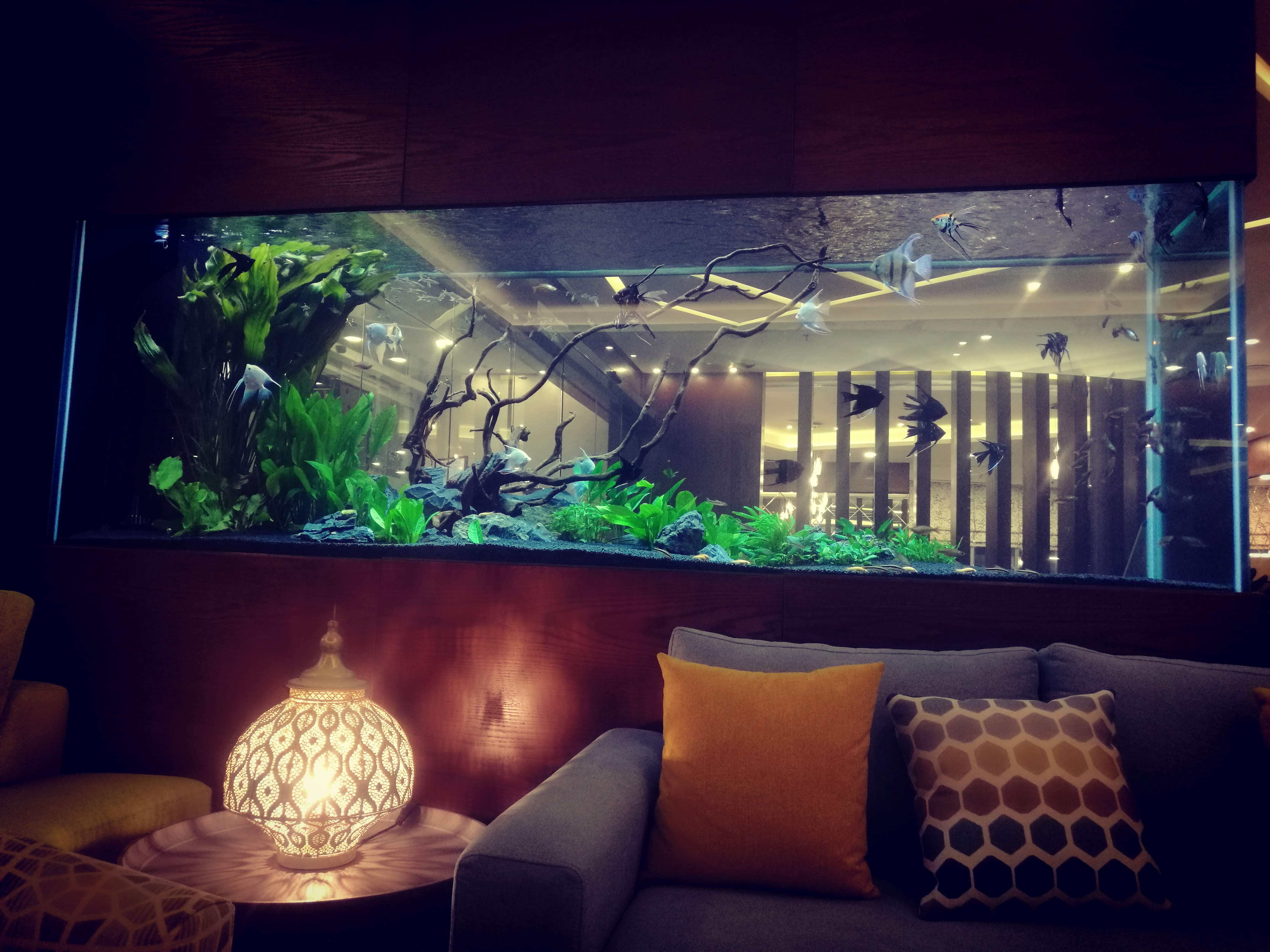 La Casa Hotel - Amman, Jordan image