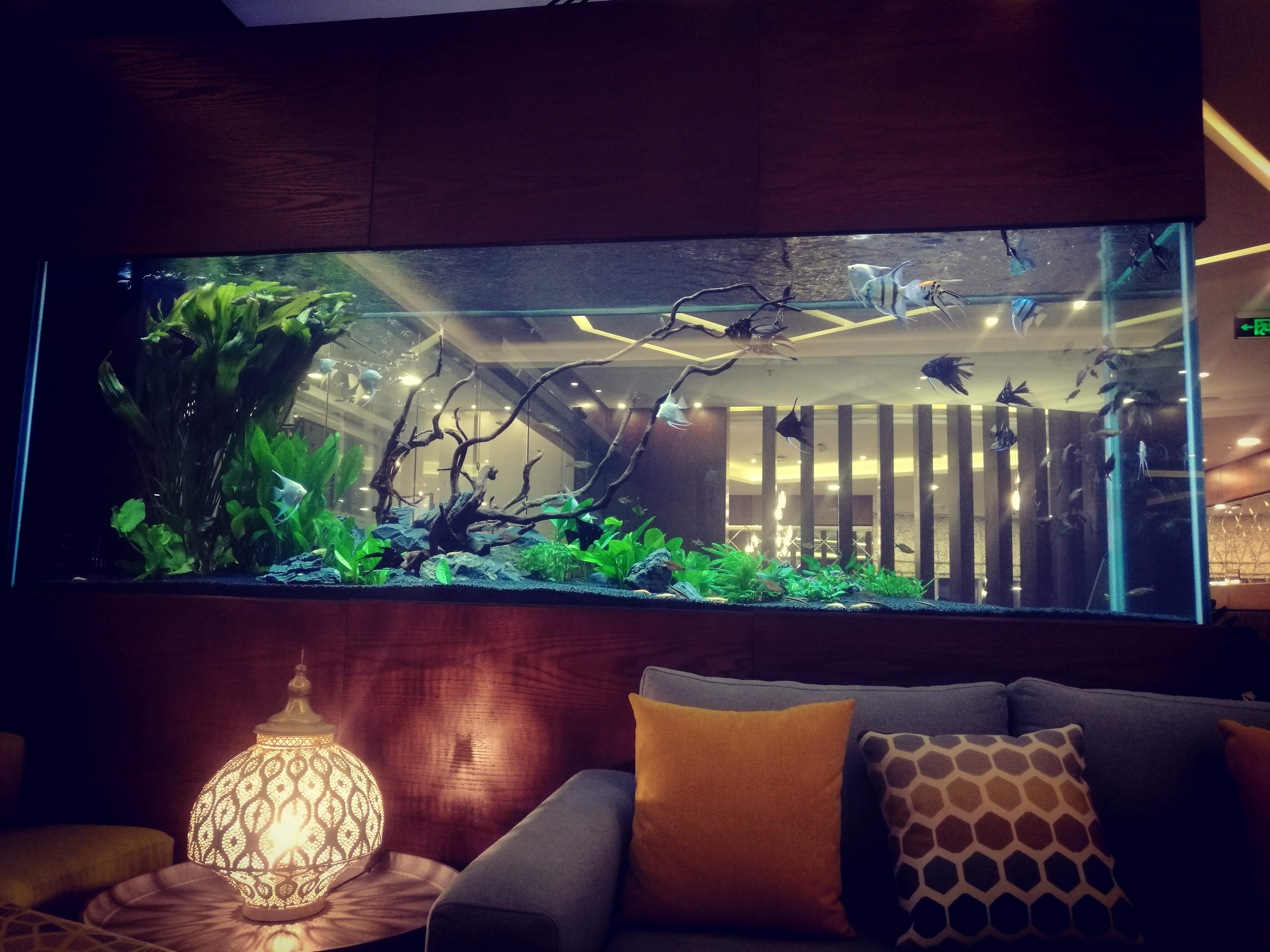 La Casa Hotel - Amman, Jordan image