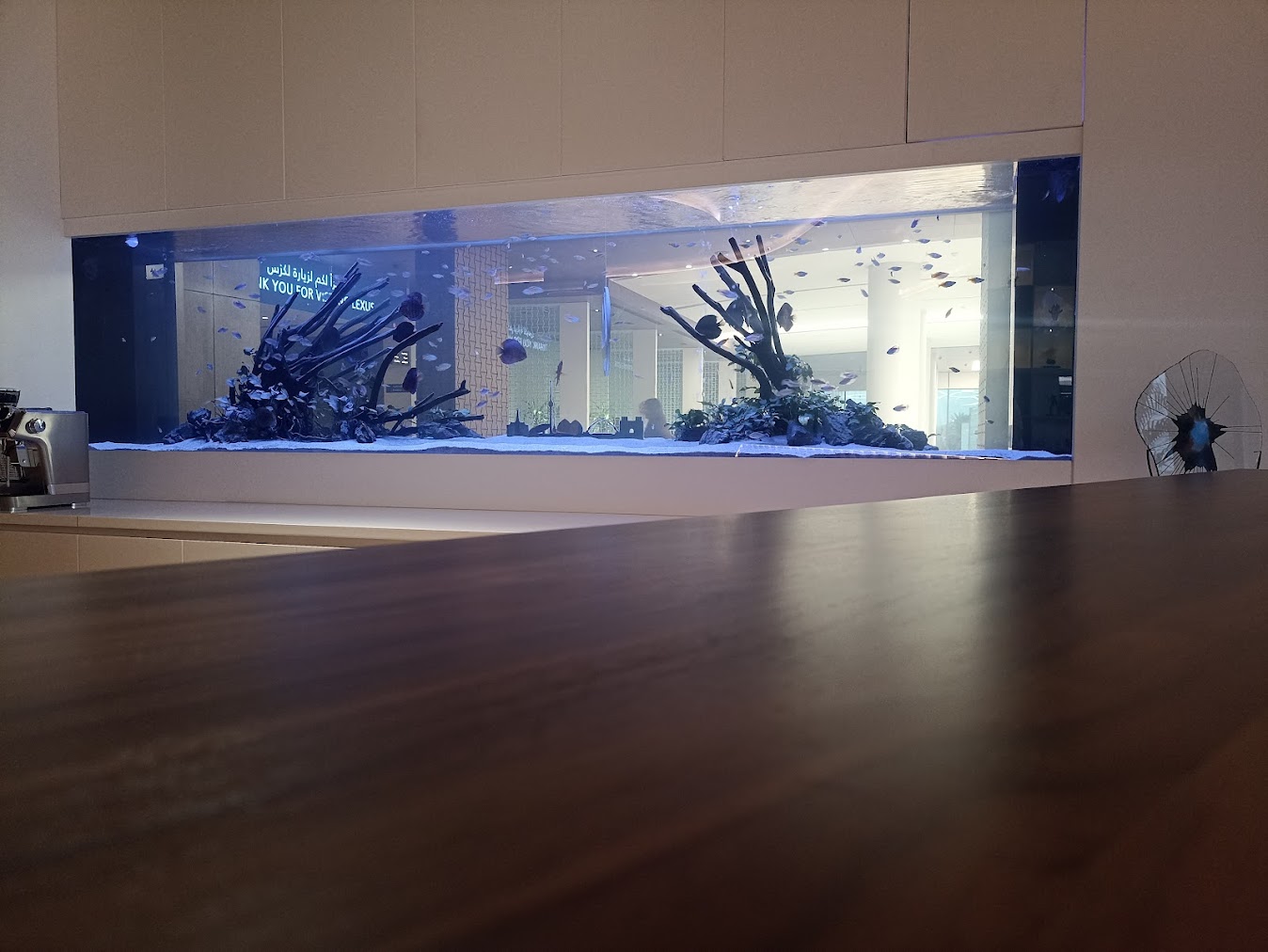 Lexus Showroom - Baghdad, Iraq image