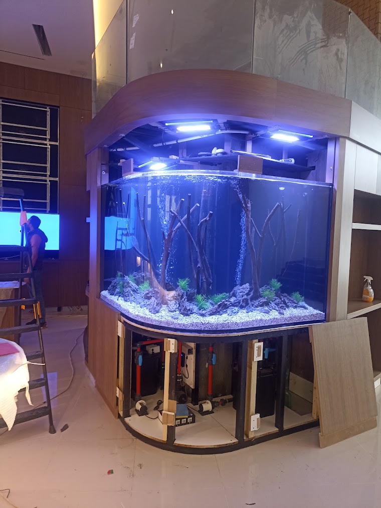 Lexus Showroom - Erbil , Iraq image