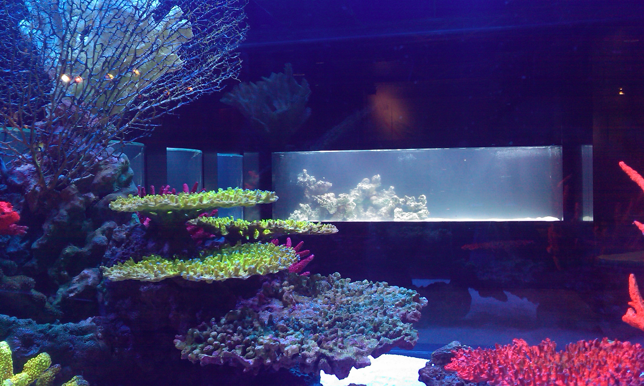 Children Museum Jordan - Amman, Jordan image