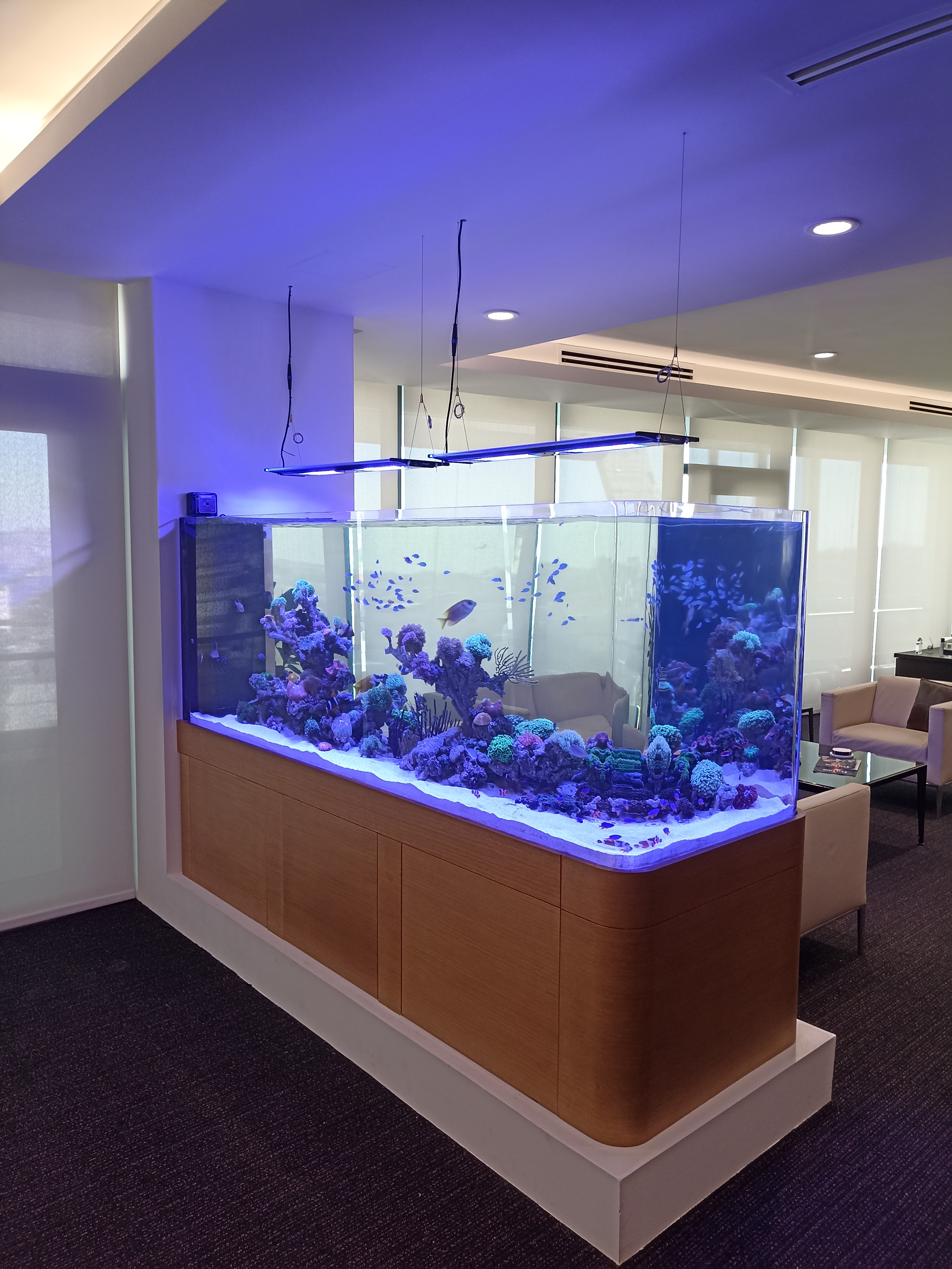 Hikma HQ - Amman, Jordan image