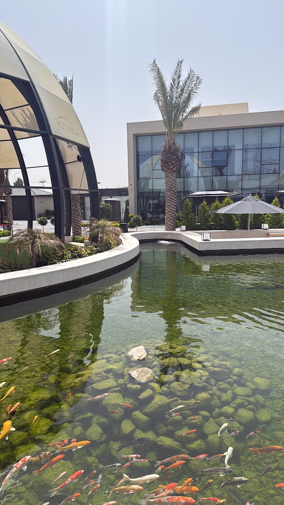 Koi Pond - Amman, Jordan image
