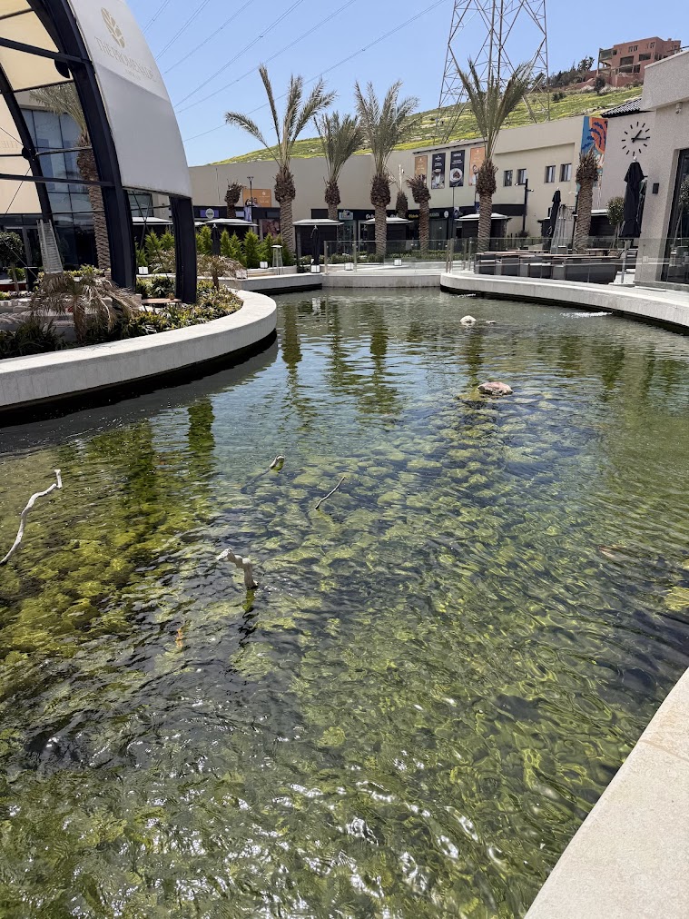 Koi Pond - Amman, Jordan image